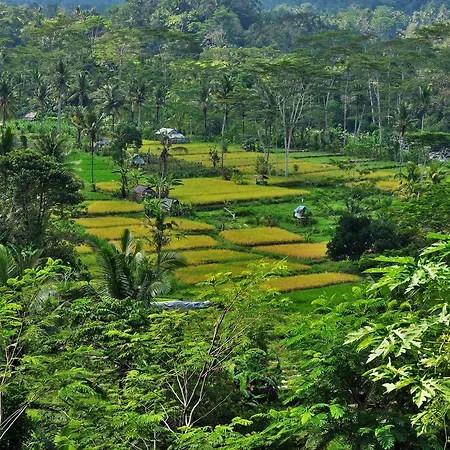 D\'Rija View Cottage